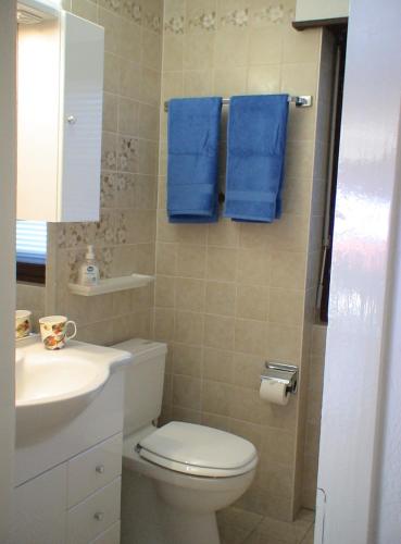 ein Bad mit einem WC, einem Waschbecken und blauen Handtüchern in der Unterkunft Relax aux Paccots : été comme hiver in Les Paccots