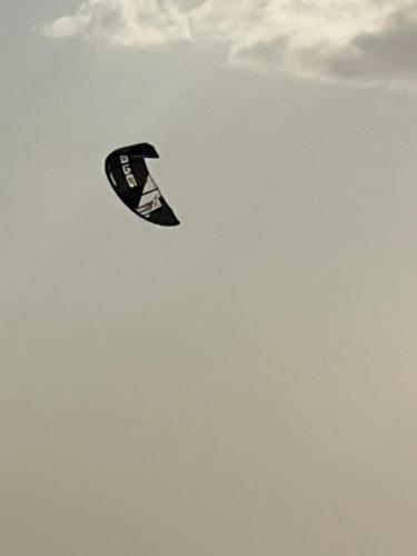 a black kite flying in the sky in the sky at El Viejo Moi Hospedaje & Restaurante in Cabo de la Vela