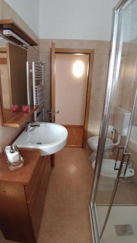 uma casa de banho com um lavatório, um chuveiro e um WC. em Casa Micéi em Tesero
