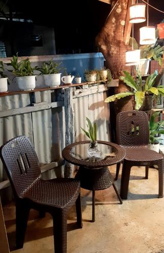a table and two chairs and a table and some plants at Elisha's Guest House in Coron