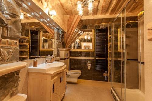 een badkamer met een toilet, een wastafel en een douche bij Domek VIP PIETIA in Zakopane