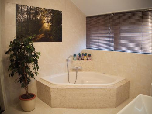 a bath tub with a plant in a bathroom at Bed & Brochje Burgum in Burgum