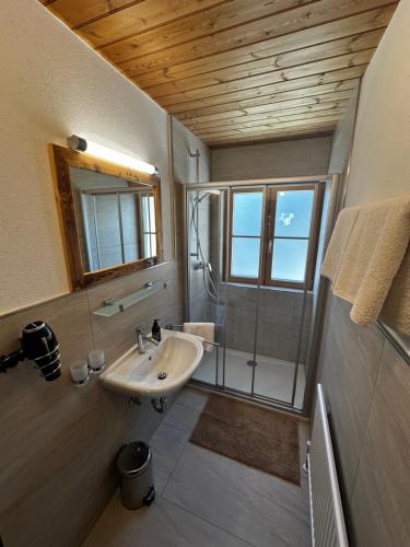 a bathroom with a sink and a shower at Bauernhof Bachgut in Mühlbach am Hochkönig