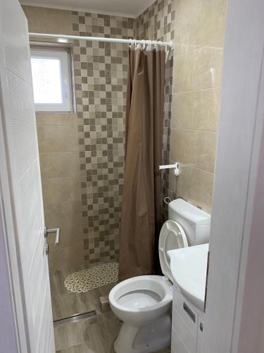 a bathroom with a toilet and a sink and a shower at Smestaj Milovanovic in Soko Banja