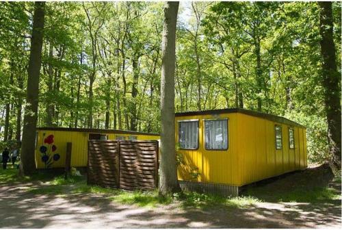 a yellow tiny house sitting next to a tree at WOMO STELLPLATZ Wald & Sand DIREKT am STRAND in Dranske