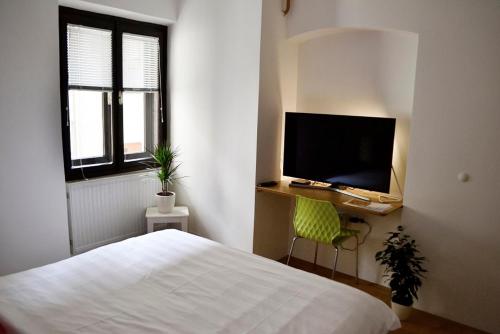 a bedroom with a bed and a flat screen tv at Studio in Ljubljana Center in Ljubljana