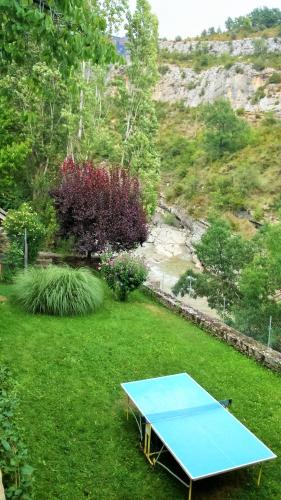 a blue ping pong table in the middle of a yard at Hotel Casa Peix in Serraduy