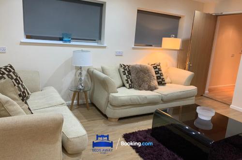 a living room with two couches and a flat screen tv at Relocation-Business-Leisure-Fast WIFI-FREE Parking-with 2 En-suites and Garden by Beds Away Short Lets & Serviced Accommodation Oxford in Oxford