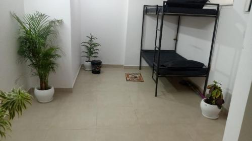 Zimmer mit Topfpflanzen und einem schwarzen Stuhl in der Unterkunft Bayweaver nests homestay in Royal plaza 810 in Lucknow