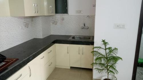 eine Küche mit weißen Schränken, einer Spüle und einer Pflanze in der Unterkunft Bayweaver nests homestay in Royal plaza 810 in Lucknow