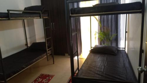 Zimmer mit 2 Etagenbetten und einem Fenster in der Unterkunft Bayweaver nests homestay in Royal plaza 810 in Lucknow
