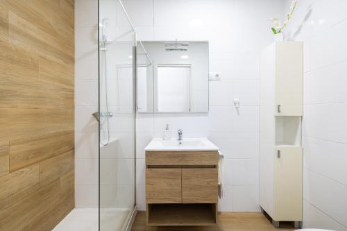 uma casa de banho com um lavatório e um chuveiro em Apartamento Jazmín em Málaga