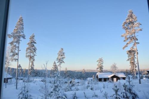 a cabin in a snowy field with snow covered trees at Moderne hytte med badstue in Rømskog