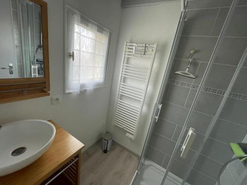 une salle de bain avec douche et lavabo dans l'établissement Charmante villa patio avec terrasse - 2 chambres - au port de Capbreton - FR-1-413-126, à Capbreton