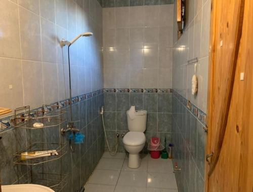 a small bathroom with a toilet and a shower at AMFIBIANHouse in Dahab