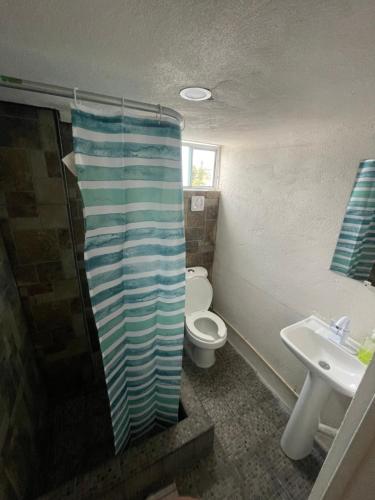 a bathroom with a shower and a toilet and a sink at Laguna 11 in Tampico