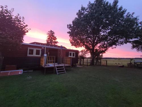 a tiny house in a yard with a tree at B&B 't Maartensdijkse Bos in Maartensdijk