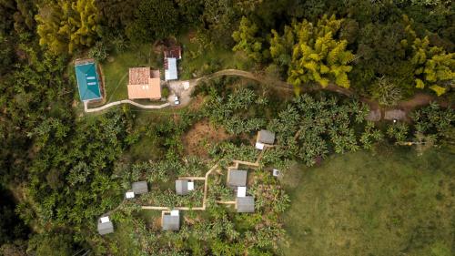ハルディンにあるGlamping Jardínの木々のある庭園の上空の景色