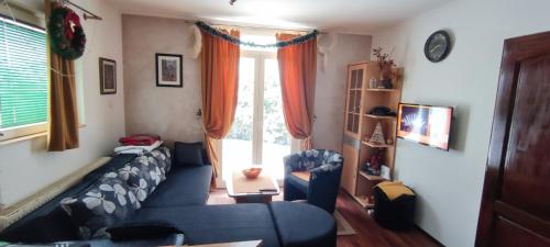 ein Wohnzimmer mit einem blauen Sofa und einem Fenster in der Unterkunft Apartment Ilic in Zlatibor