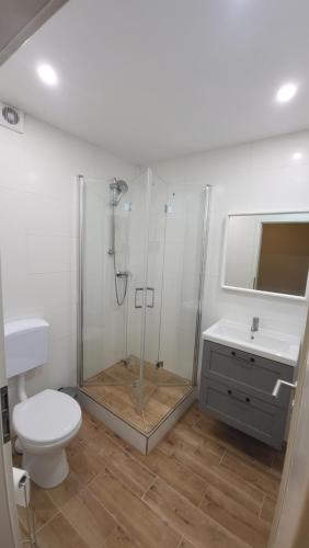 uma casa de banho com um chuveiro, um WC e um lavatório. em Zur Mühle em Lehnin