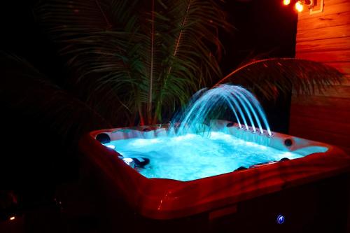 Calibishie的住宿－Blue Whale Villa - Deluxe Suite，客房内的红色浴缸与喷泉