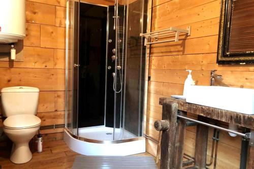 une salle de bain avec une douche, des toilettes et un lavabo dans l'établissement le relais st nicol, avec terrasse de 50m2 et parking privé, à Honfleur