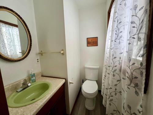 ein Badezimmer mit Waschbecken, Toilette und Spiegel in der Unterkunft Wagner Creek Hideaway in Munising