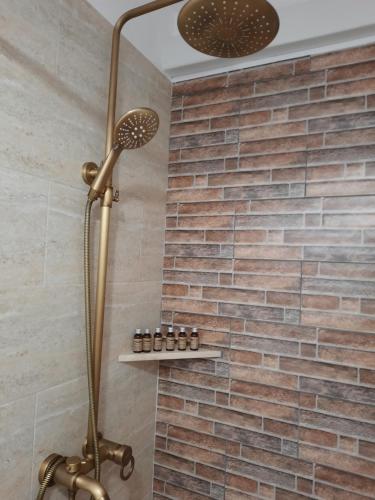 a shower in a bathroom with a brick wall at AMA Guest House in Turda