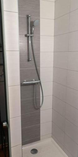 une douche dans une salle de bain avec une porte vitrée dans l'établissement Gites les Rives du canal parking privé gratuit, à Montigny-lès-Metz