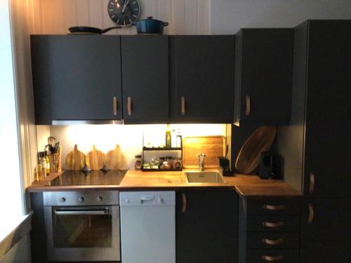 eine Küche mit schwarzen Schränken und einer Arbeitsplatte in der Unterkunft Central Grünerløkka, close to city center in Oslo