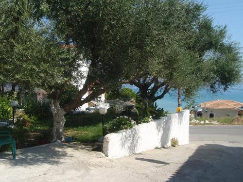 a tree next to a wall and a street at Billy's Amoudi Apartments in Amoudi