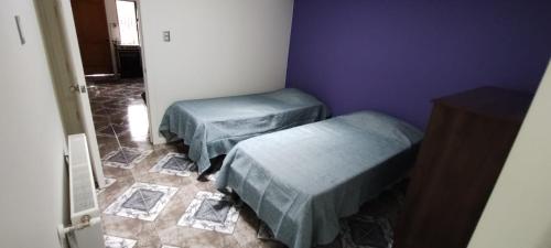 a room with two twin beds and purple walls at Departamento Nuevo in Punta Arenas