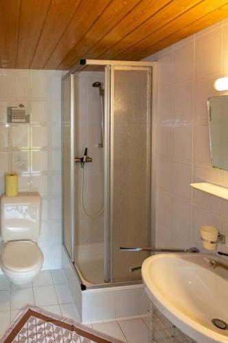 a bathroom with a shower and a toilet and a sink at Alpinchalet Zigjam in Gaschurn