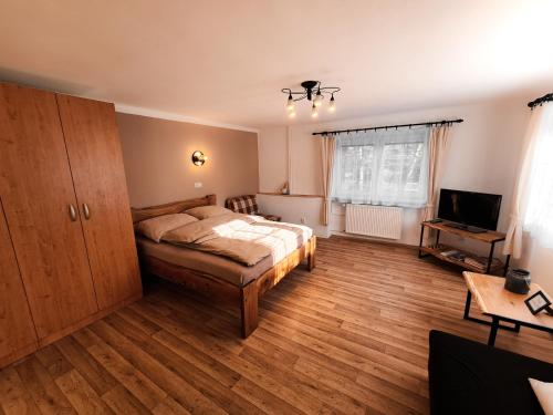 a bedroom with a bed and a television in it at Apartmán Pod Ledovcem in Mladé Buky