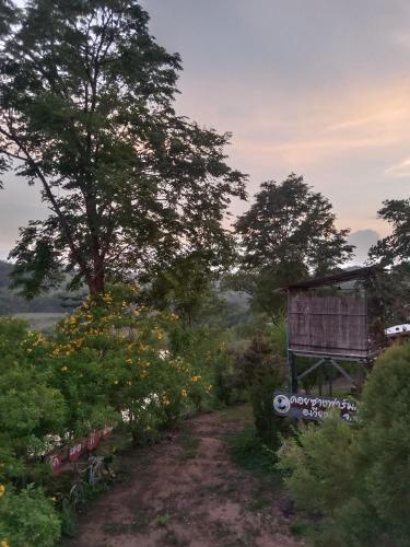 a dirt road with flowers and a tree on a hill at Doi Sang Farm Stay - ดอยซางฟาร์มสเตย์ in Ban Huai Kom
