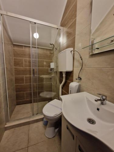 a bathroom with a shower and a toilet and a sink at sobe Astonia in Subotica