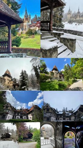 Φωτογραφία από το άλμπουμ του Vila Șipot - Casa Arhitecților σε Sinaia