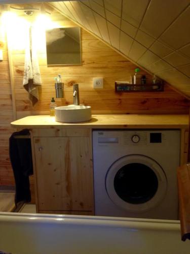 une salle de bain avec une machine à laver et un lavabo dans l'établissement Mon petit Appartement Montagnard du Plateau, à Saint-Hilaire
