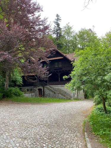 Κήπος έξω από το Vila Șipot - Casa Arhitecților
