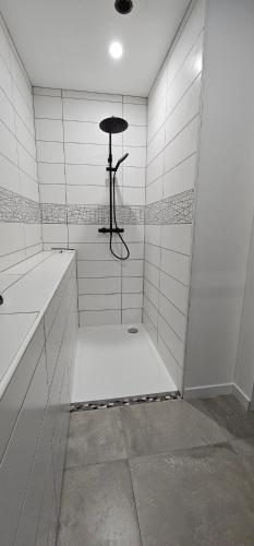 Cette chambre blanche dispose d'une douche avec un poteau. dans l'établissement Le Clos Maldier - Gîte Les Ecureuils, à Laon