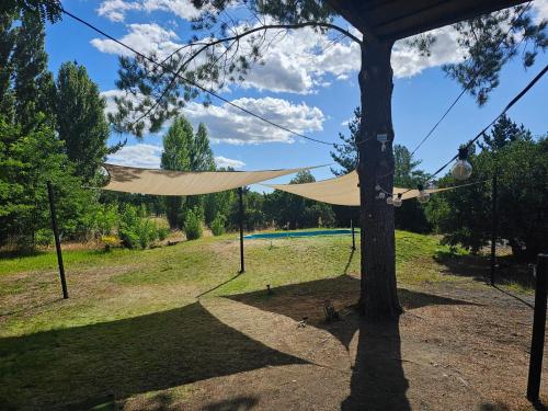 a hammock tied to a tree in a field at Casa familiar yumbel con opcion a tinaja in Yumbel