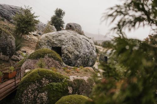 uma grande rocha com musgo a crescer nela em Pousadela Village em Vieira do Minho