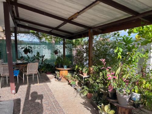 - une terrasse avec un bouquet de plantes en pot dans l'établissement SIMPLISSIME T4 à KOUROU, à Kourou