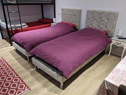 Duas camas num quarto com cobertores roxos em À 7 minutes de l'aéroport CDG 1 em Thieux