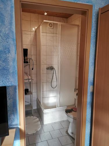 uma casa de banho com um chuveiro e um WC. em Gästehaus Locanda al Castello Stolpen em Stolpen