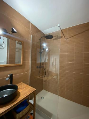 y baño con ducha, lavabo y espejo. en Deux chambres avec terrasse dans le centre ville d'Aix en Provence en Aix-en-Provence