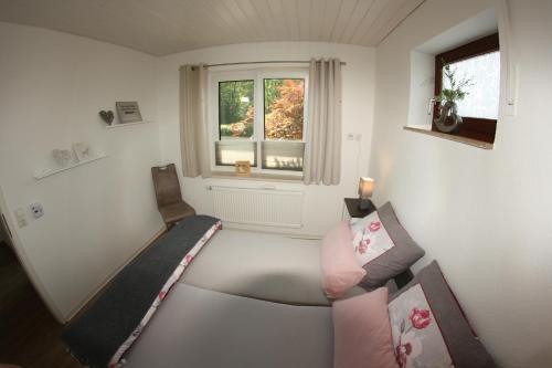 ein Wohnzimmer mit einem Sofa und einem Fenster in der Unterkunft Haus Ceddy Diemelsee in Diemelsee