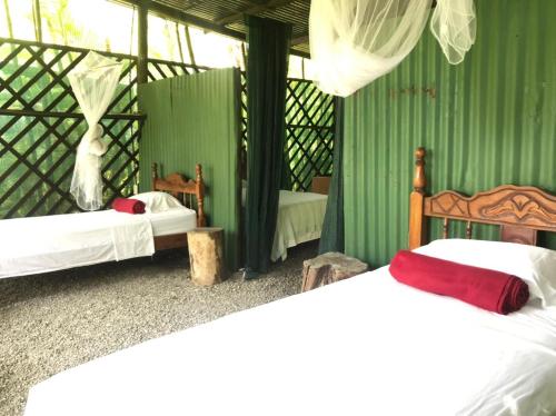 a bedroom with two beds and green walls at Mal Pais Surf Camp in Santa Teresa Beach