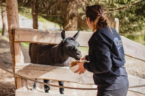 a woman feeding a goat in a cage at Hotel Rozkoš in Česká Skalice