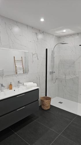 une salle de bain blanche avec un lavabo et une douche dans l'établissement Spa des ducs loft 3, à Bar-le-Duc
